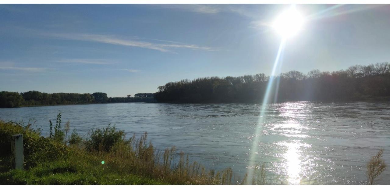 Urlaub Am Rhein Speyer Hockenheim Lejlighed Altlussheim Eksteriør billede