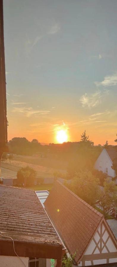 Urlaub Am Rhein Speyer Hockenheim Lejlighed Altlussheim Eksteriør billede