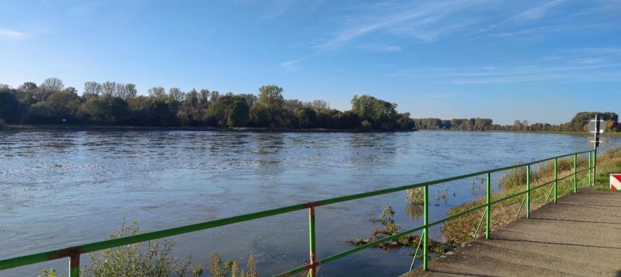 Urlaub Am Rhein Speyer Hockenheim Lejlighed Altlussheim Eksteriør billede